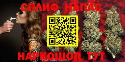 a pvp Донской