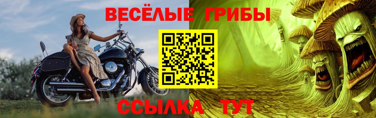 Галлюциногенные грибы прущие грибы Куйбышев
